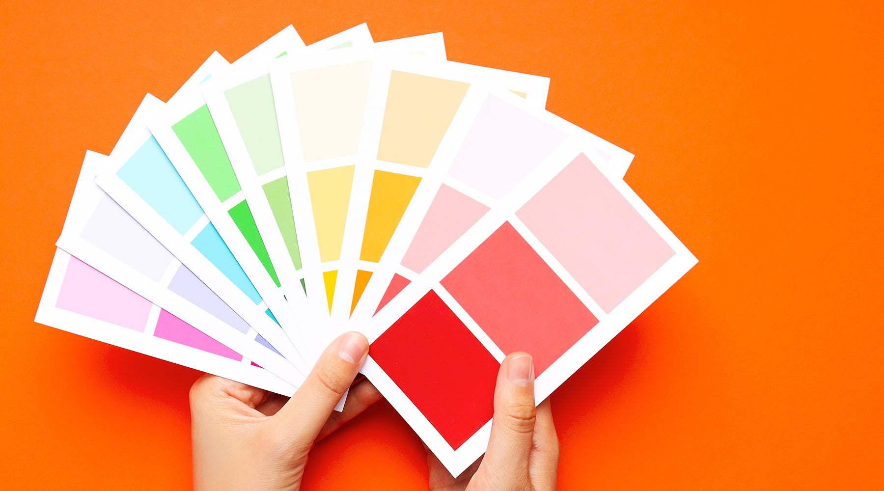Color Me Happy