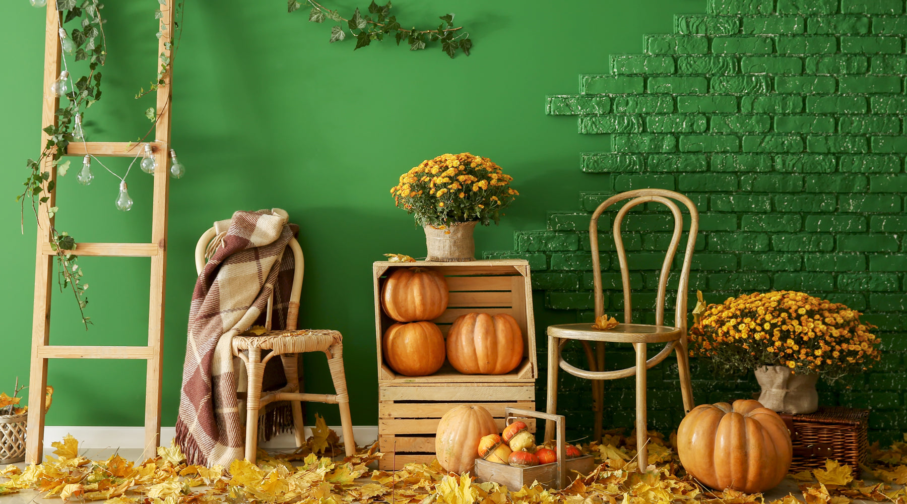 Think Green This Thanksgiving