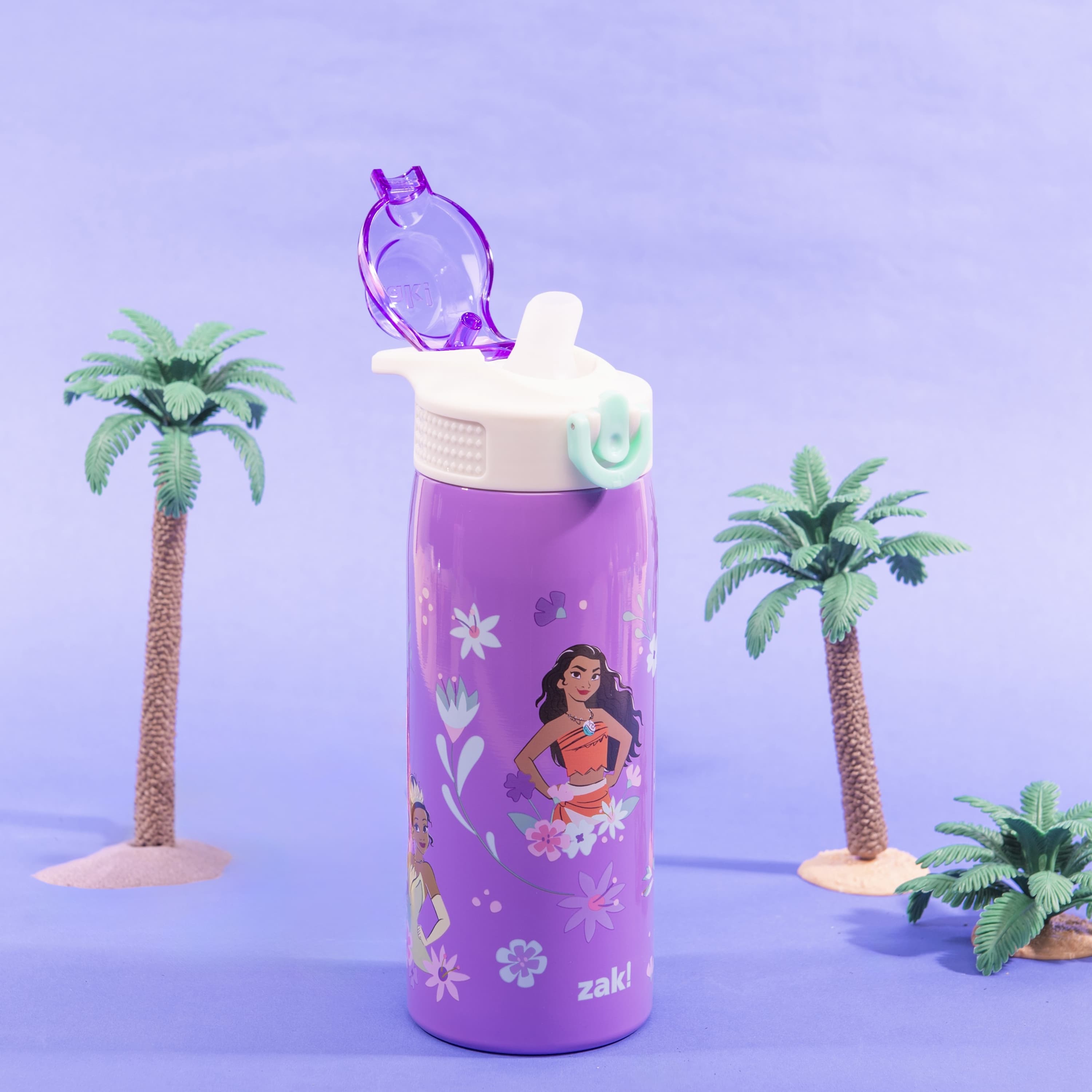 Sage Kids Insulated Water Bottle - Disney Princess, 19 ounces