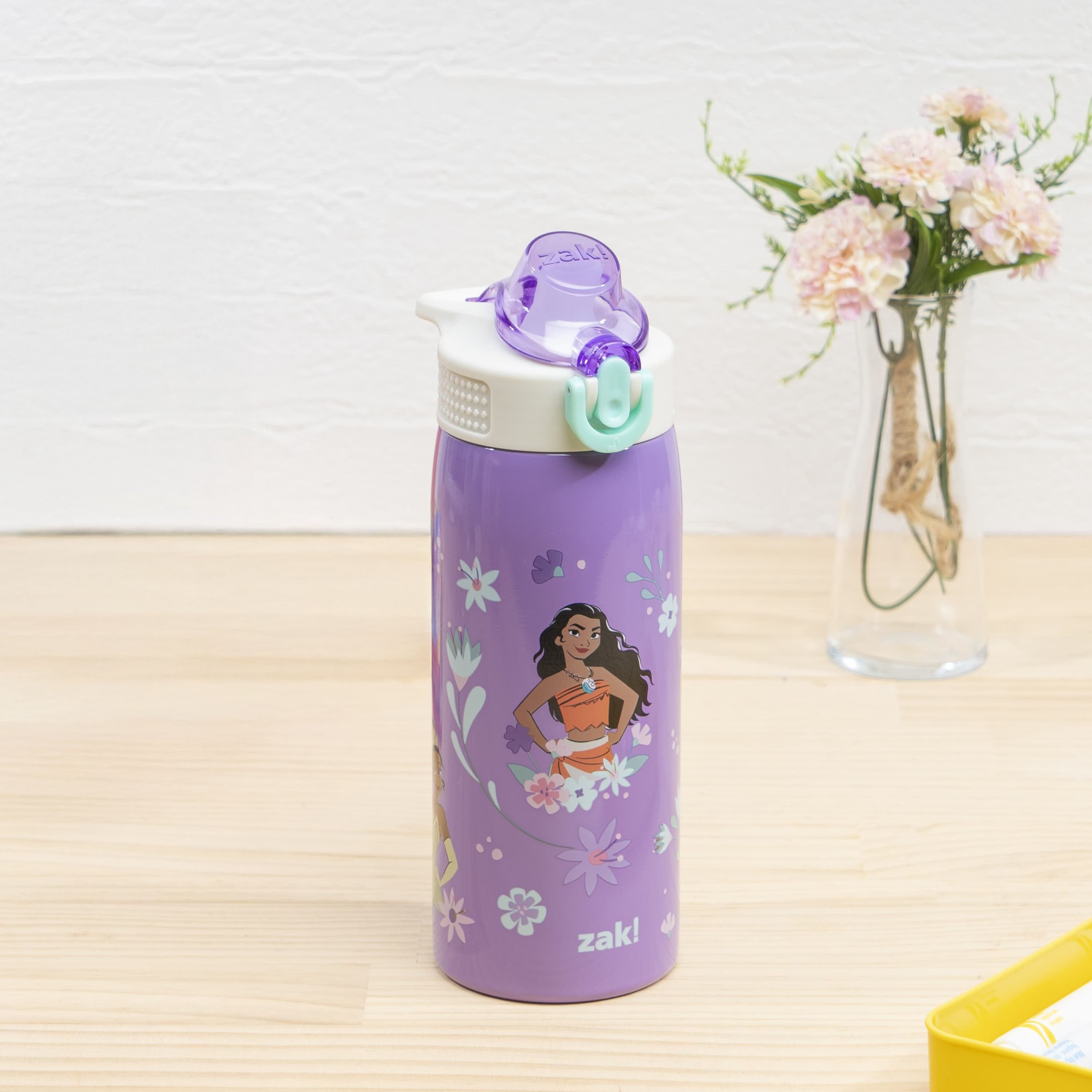 Sage Kids Insulated Water Bottle - Disney Princess, 19 ounces