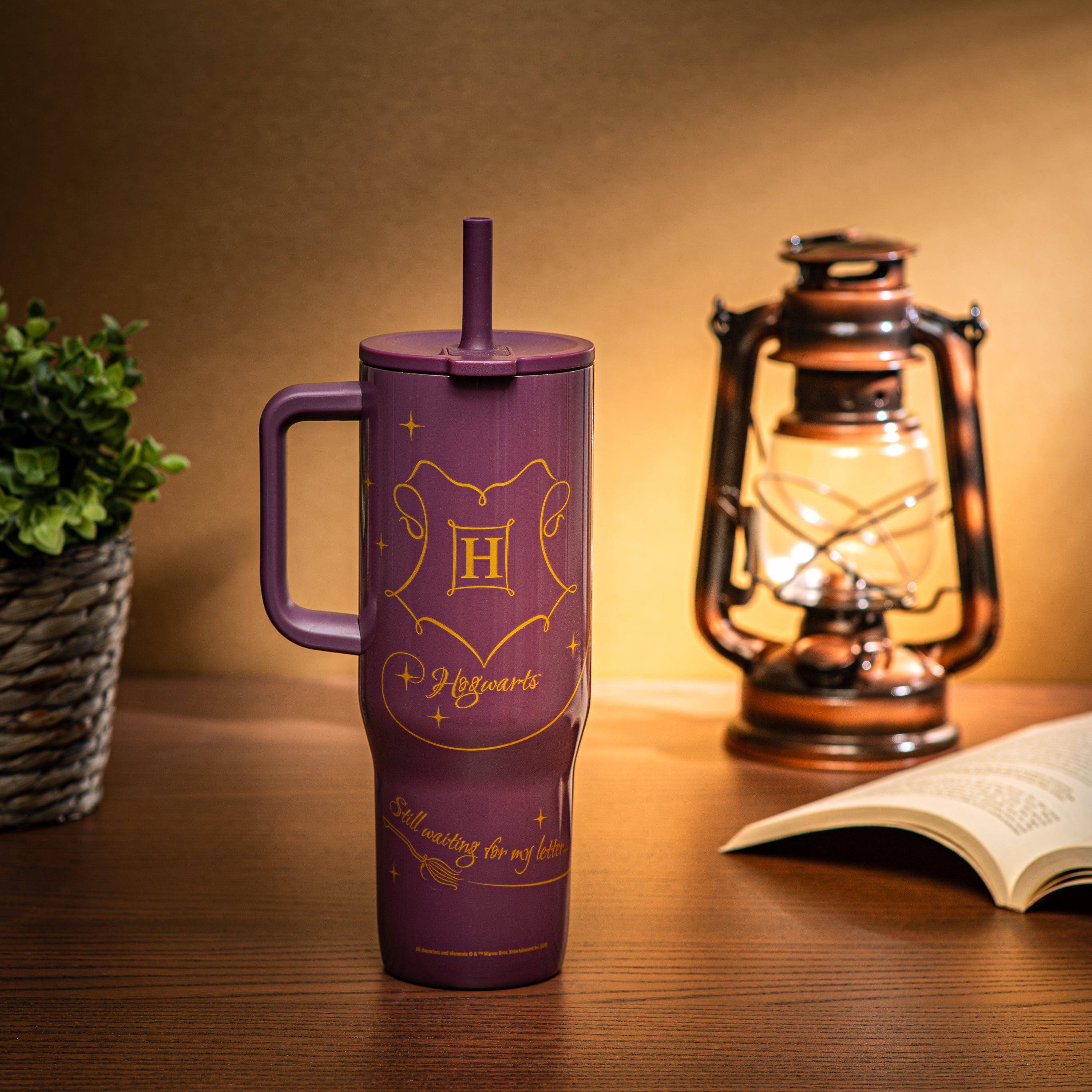Sutton Insulated Straw Tumbler with Splash-Proof Lid - Harry Potter, 30 ounces