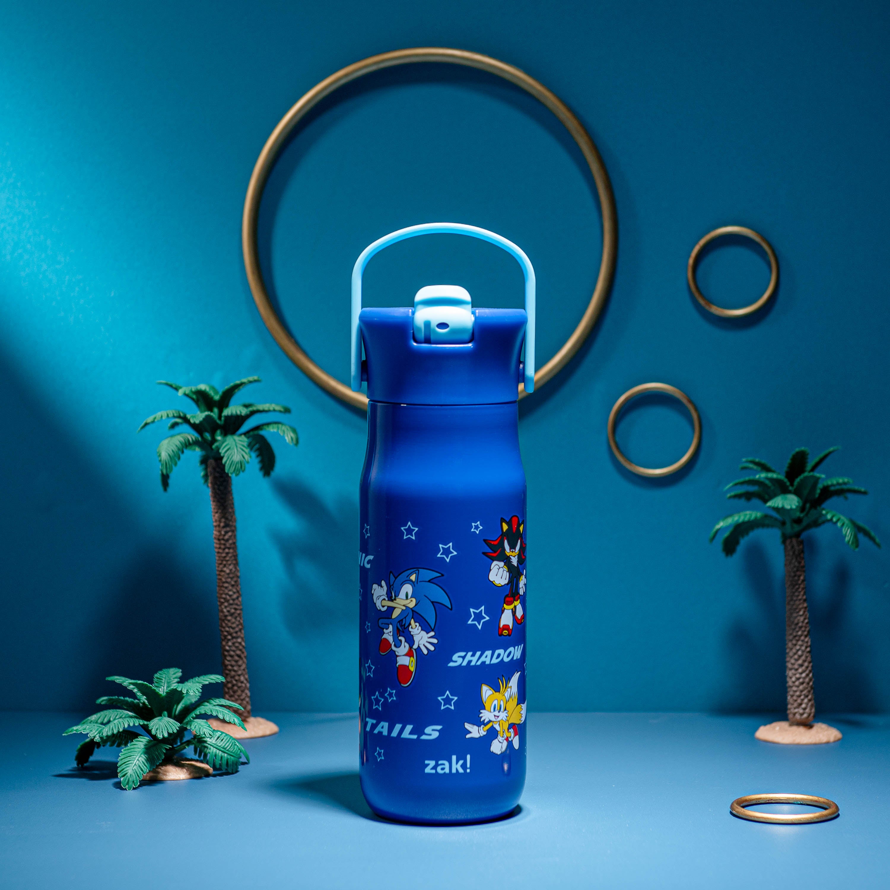 Sonic the Hedgehog Harmony Stainless Steel Kids Water Bottle with Straw Spout, 20 ounces