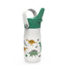 Dinosaurs Harmony Recycled Stainless Steel Kids Water Bottle with Straw Spout, 14 ounces