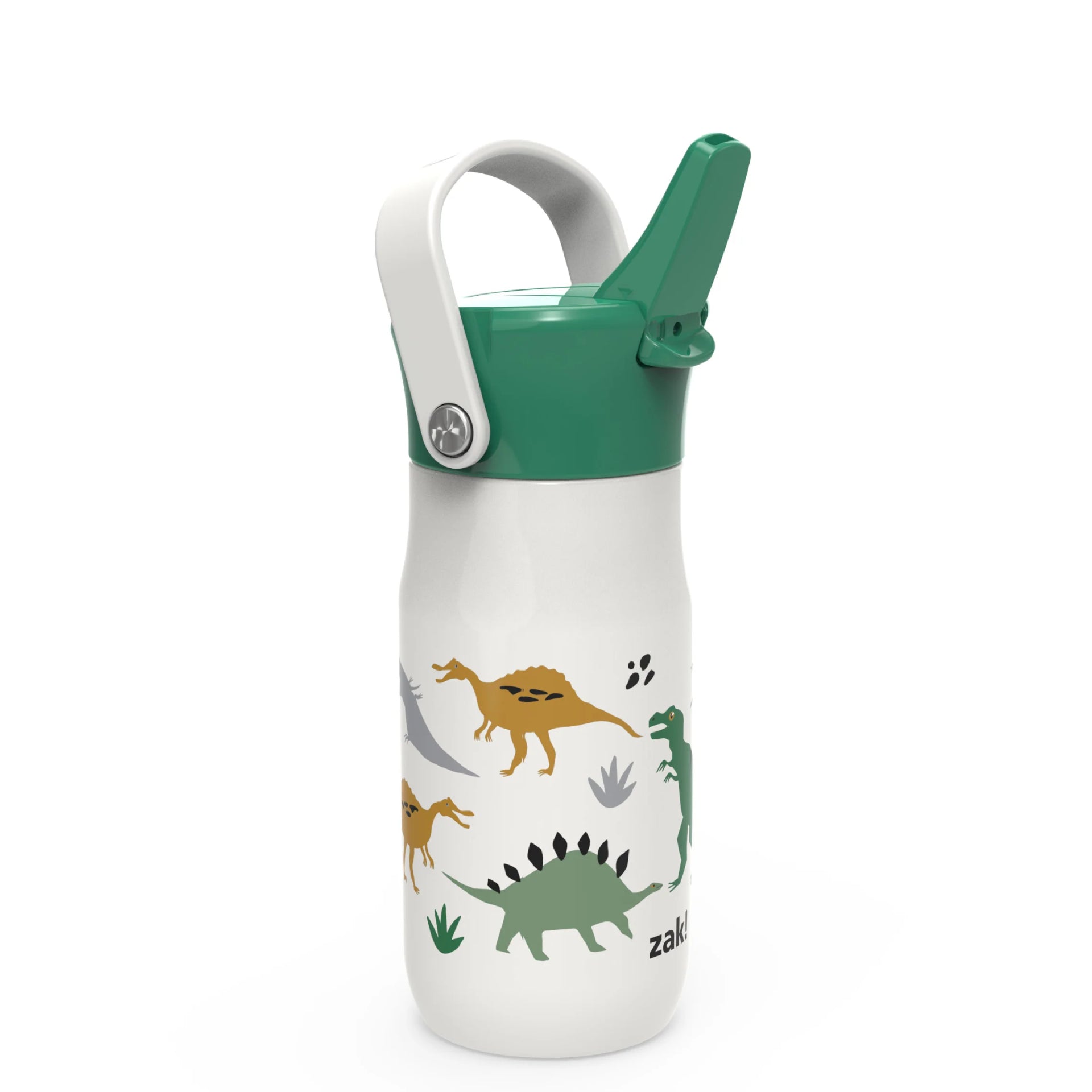 Dinosaurs Harmony Recycled Stainless Steel Kids Water Bottle with Straw Spout, 14 ounces