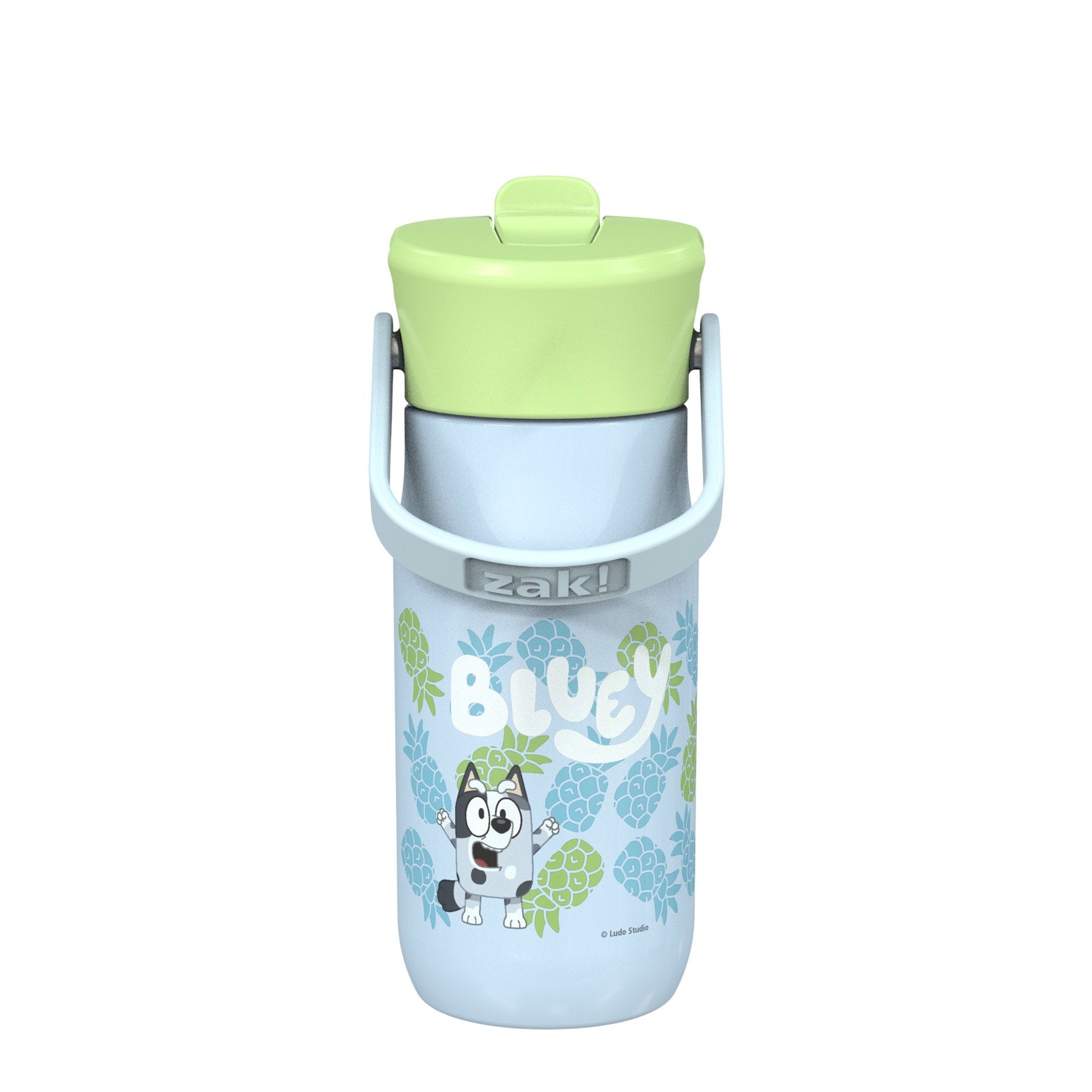 Bluey Harmony Recycled Stainless Steel Kids Water Bottle with Straw Spout, 14 ounces