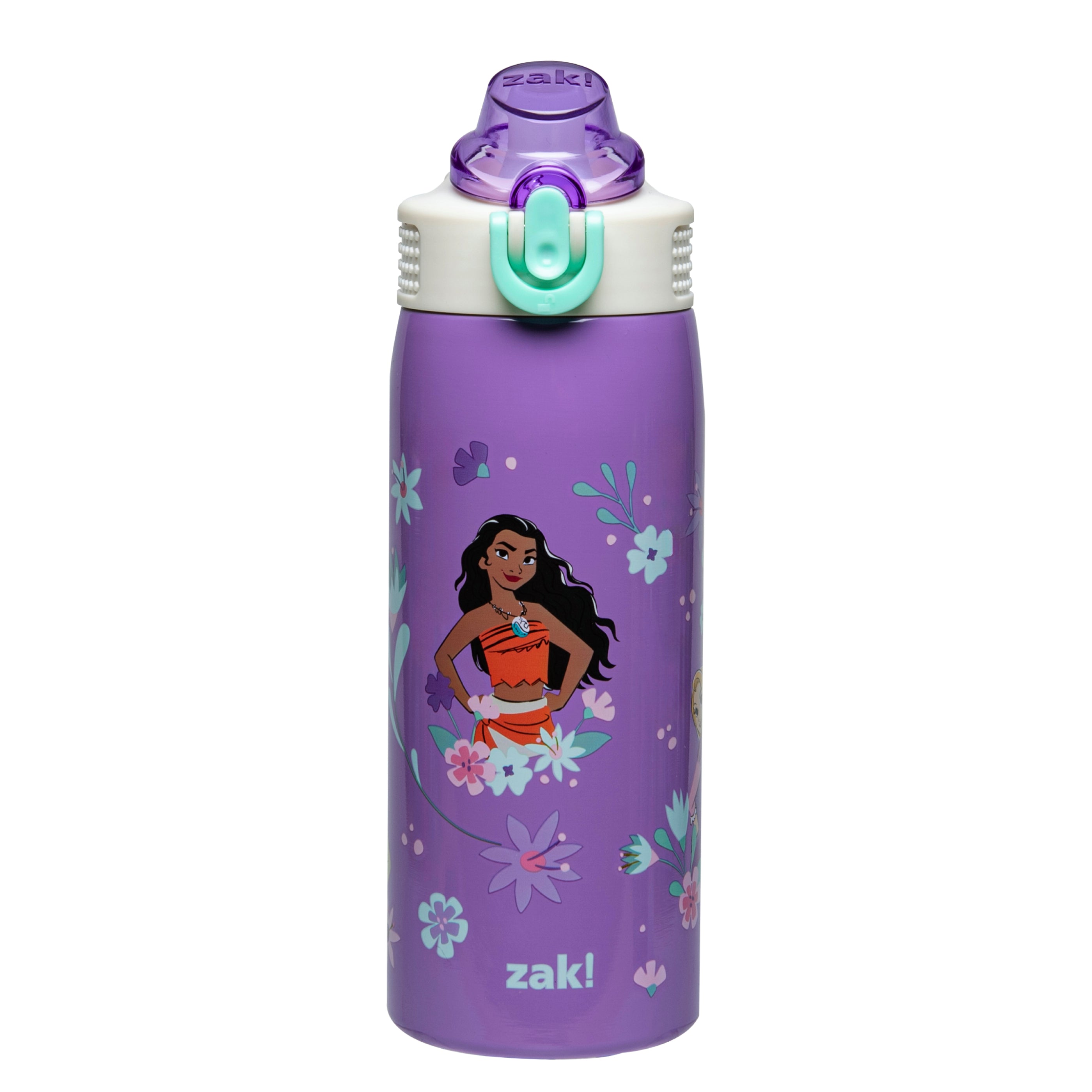 Sage Kids Insulated Water Bottle - Disney Princess, 19 ounces