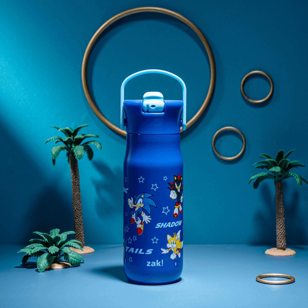 Sonic the Hedgehog kids water bottle with flip up spout and handle