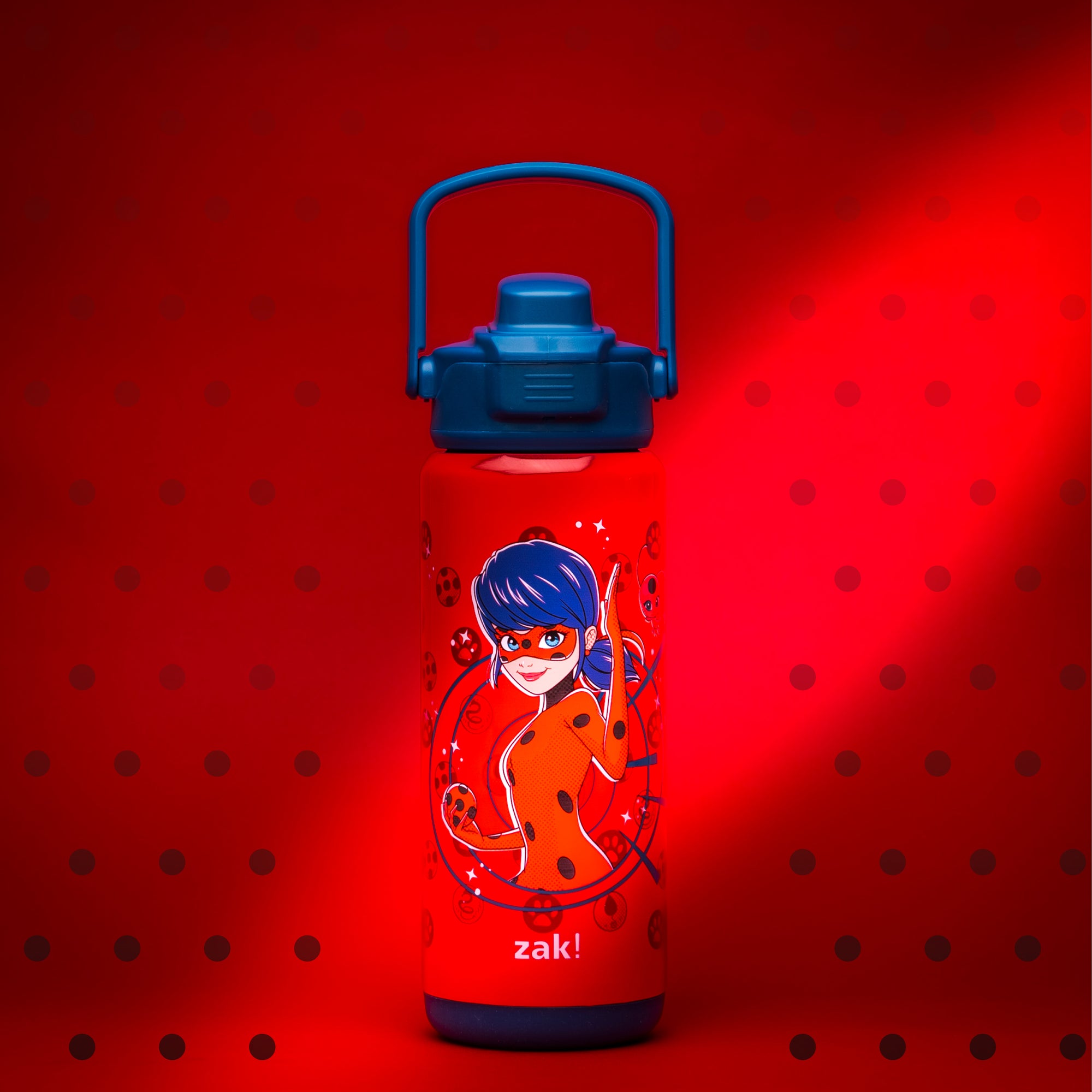 Miraculous Ladybug Beacon Stainless Steel Insulated Kids Water Bottle with Covered Spout, 20 Ounces