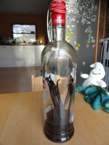 Homemade Vanilla Extract Recipe