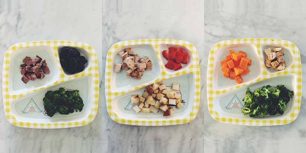 Balanced Toddler Meal Ideas —