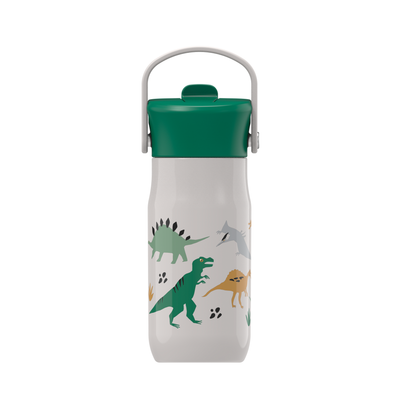 Dinosaurs Harmony Recycled Stainless Steel Kids Water Bottle with Straw Spout, 14 ounces