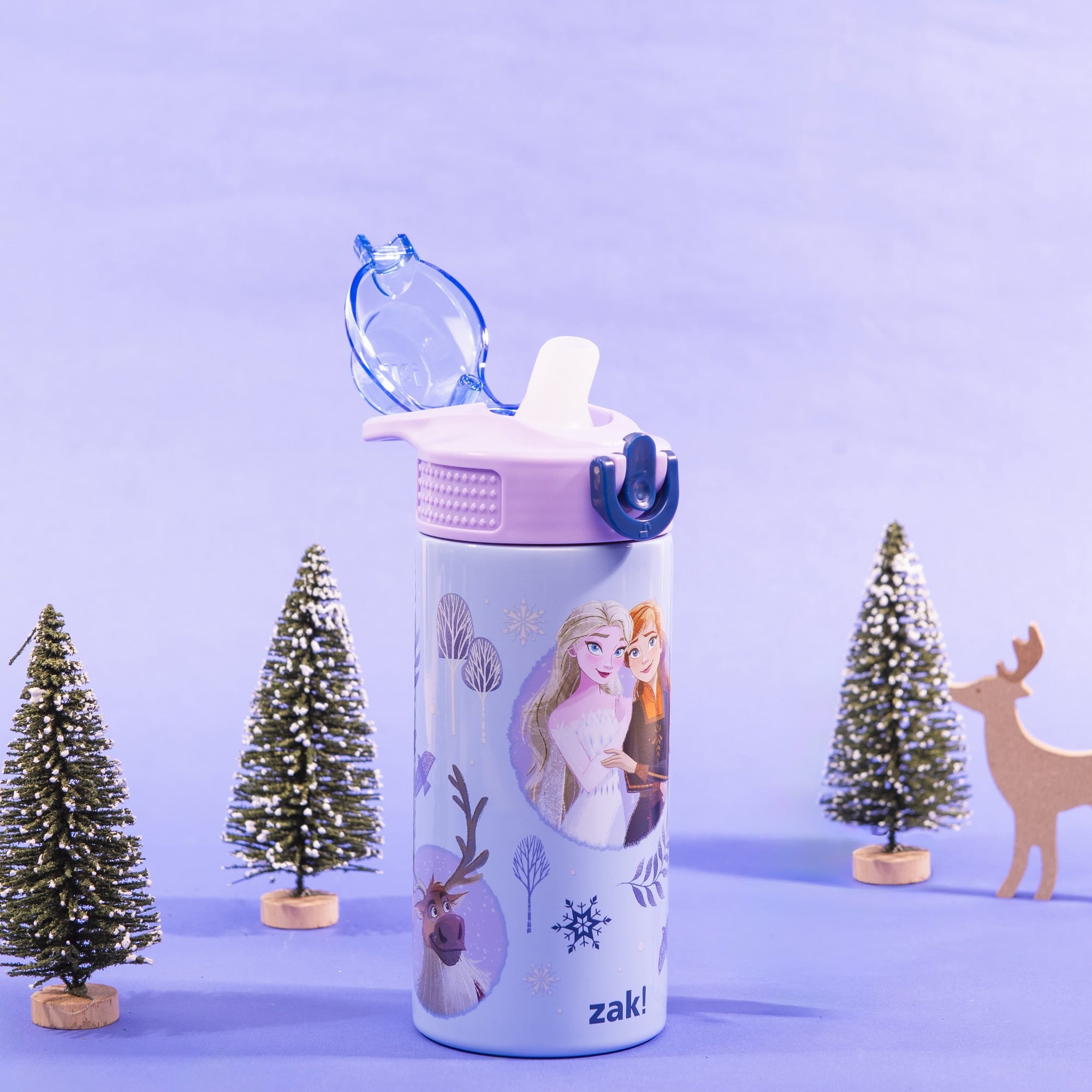 Sage Kids Insulated Water Bottle - Frozen, 14 ounces