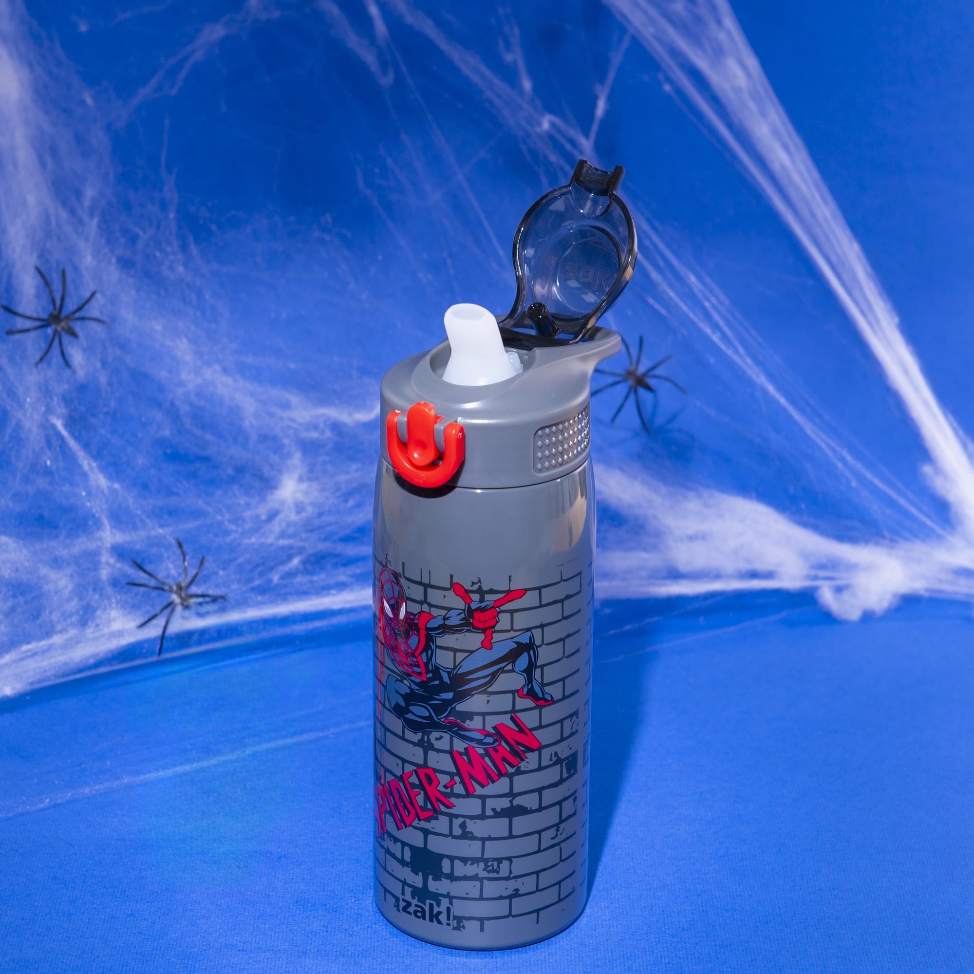 Sage Kids Insulated Water Bottle - Spider-Man, 19 ounces
