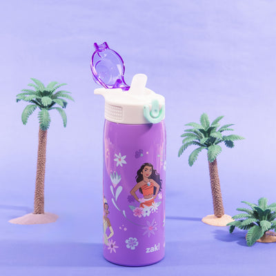 Sage Kids Insulated Water Bottle - Disney Princess, 19 ounces