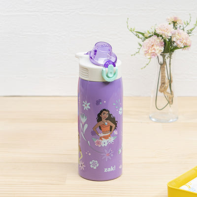 Sage Kids Insulated Water Bottle - Disney Princess, 19 ounces