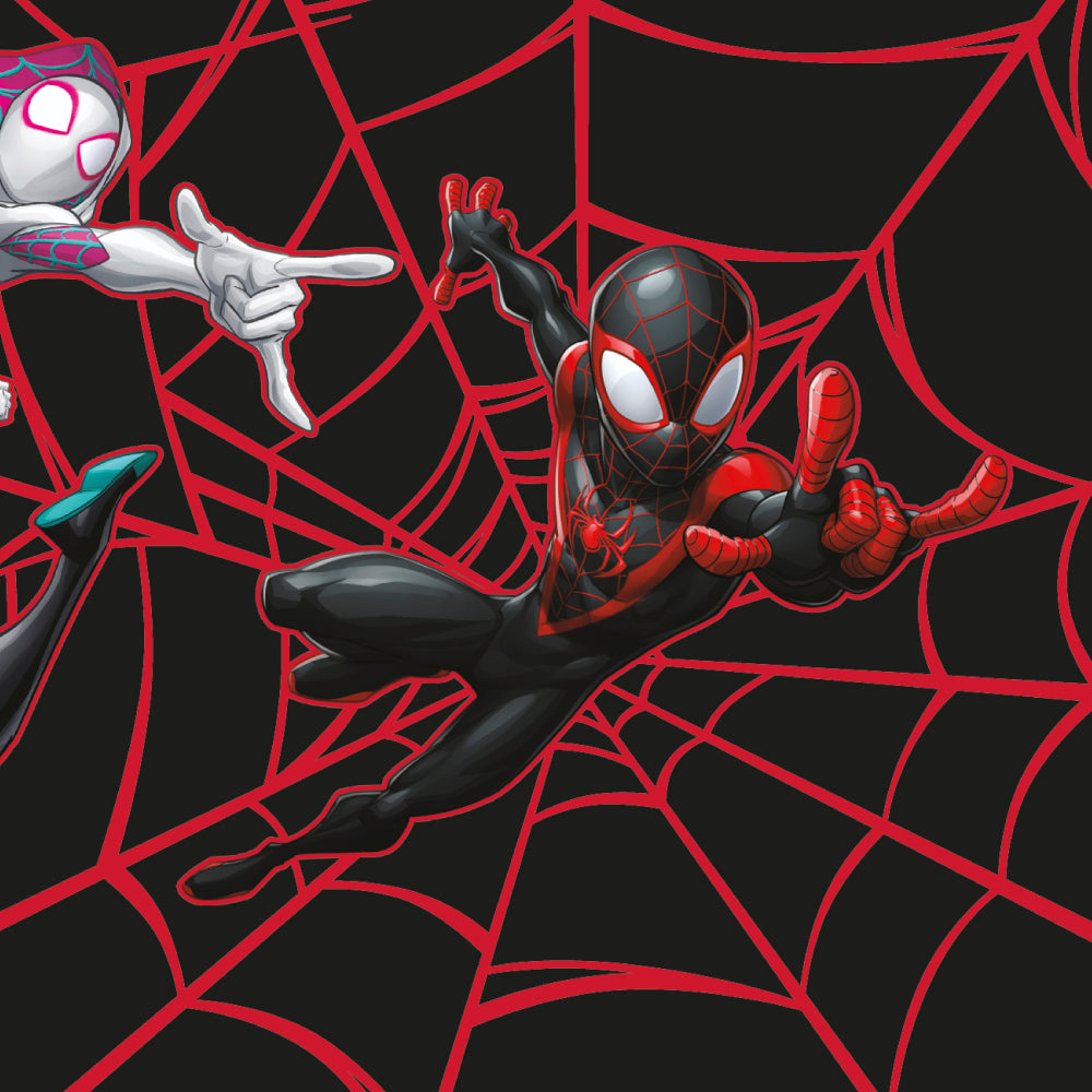 Spider-Man character in a dynamic pose on a web-patterned background