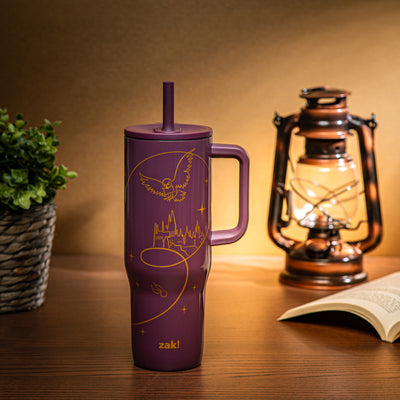 Sutton Insulated Straw Tumbler with Splash-Proof Lid - Harry Potter, 30 ounces