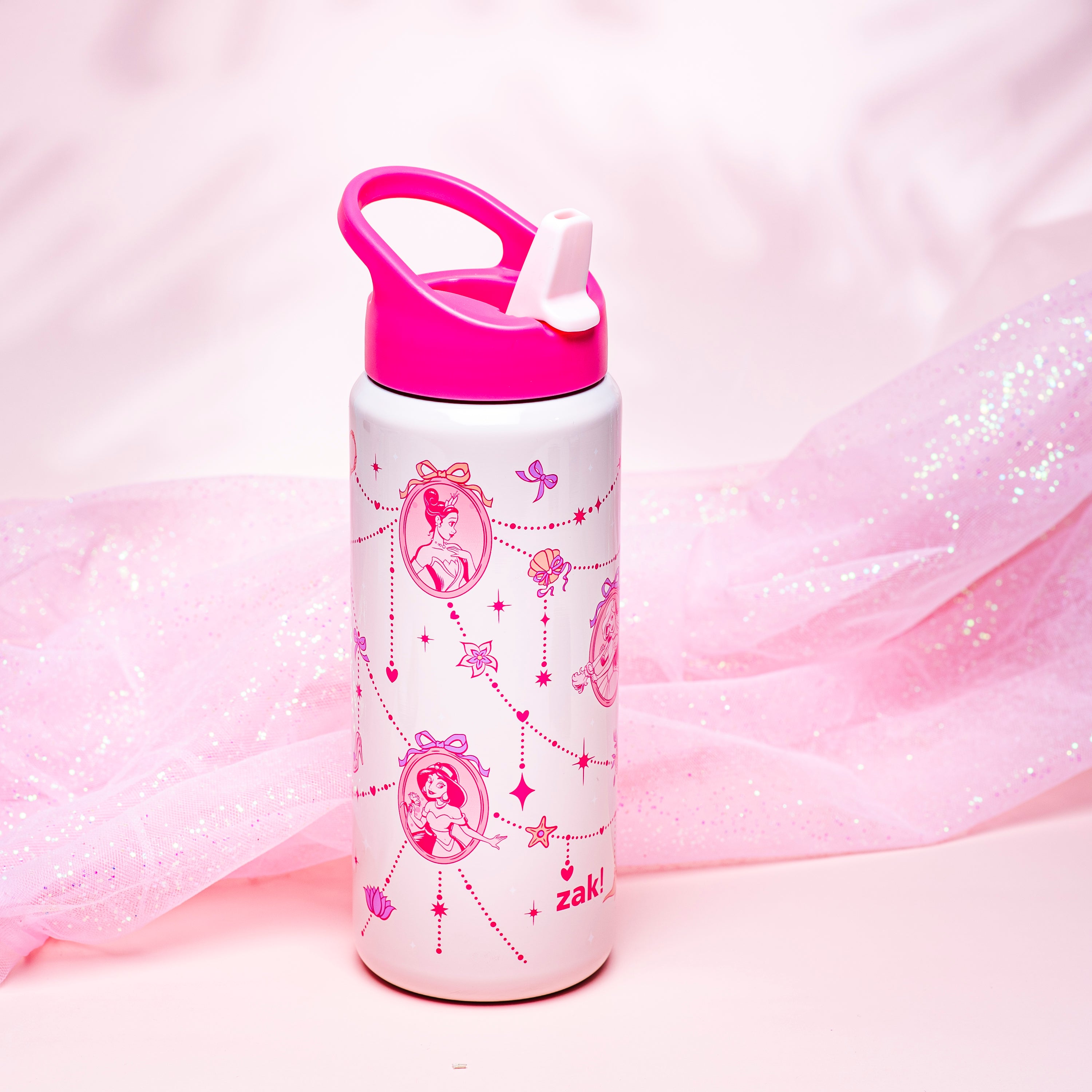 Kids Stainless Steel Disney Princess Bottle with Leak-Proof Spout