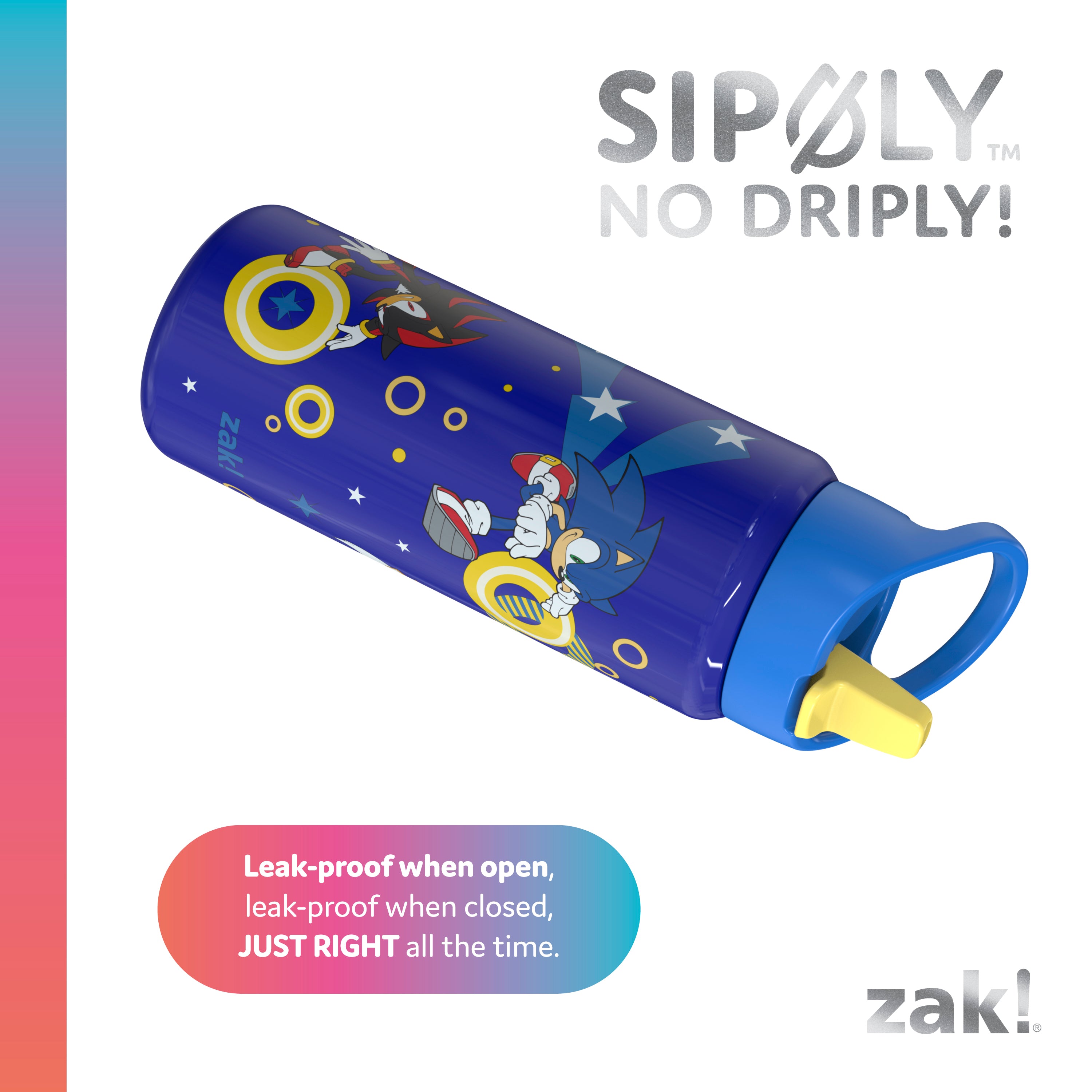 Kids Stainless Steel Sonic the Hedgehog Bottle with Leak-Proof Spout