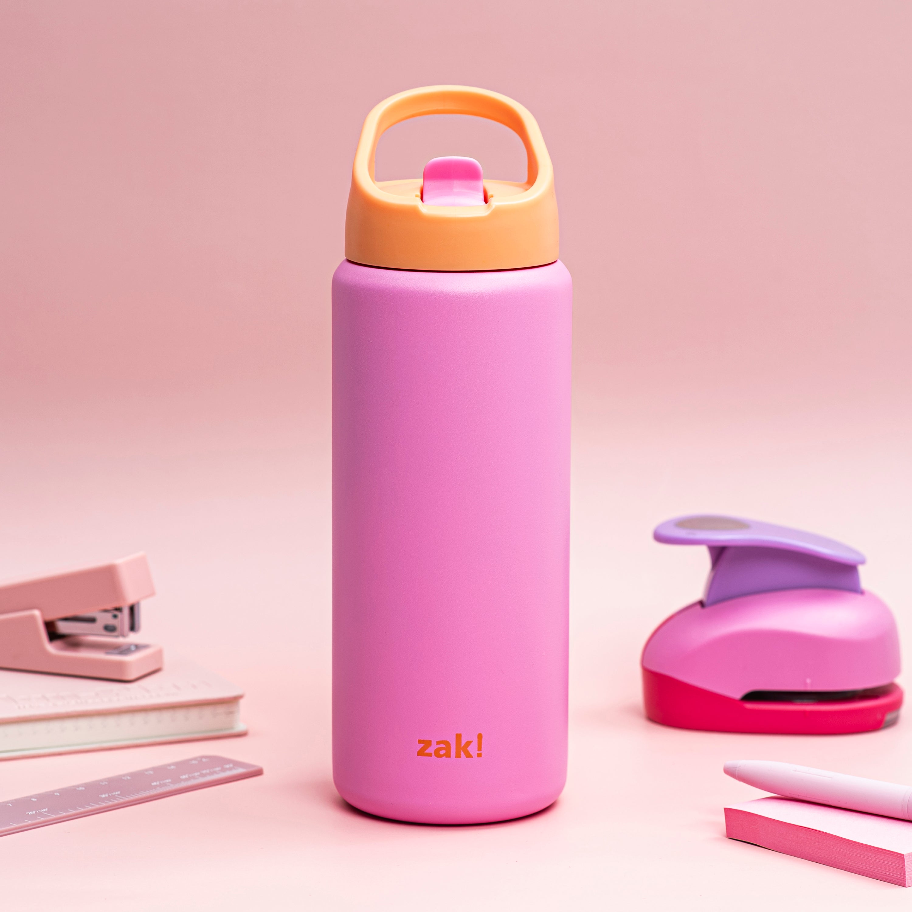 Kids Stainless Steel Lollipop Pink Bottle with Leak-Proof Spout