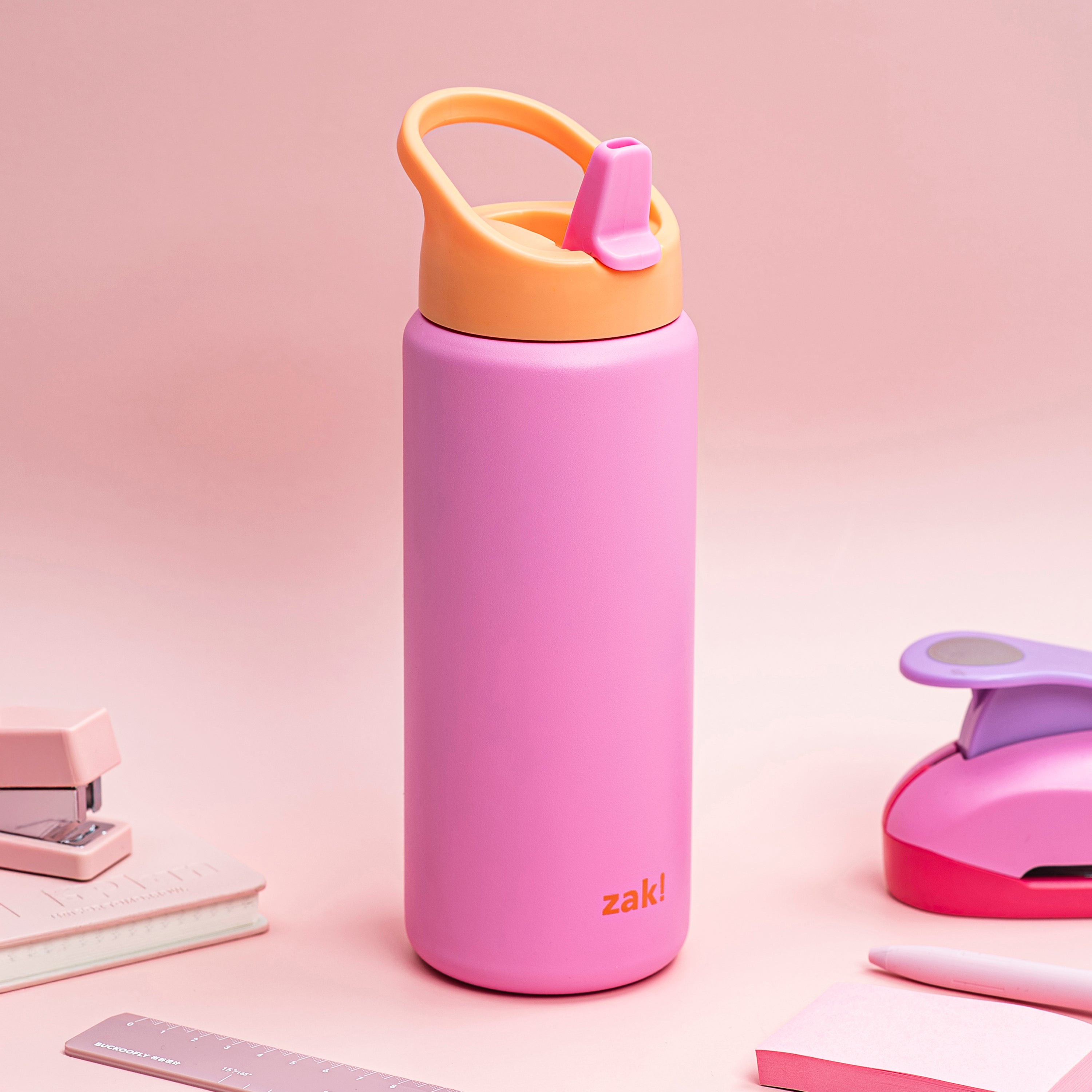 Kids Stainless Steel Lollipop Pink Bottle with Leak-Proof Spout