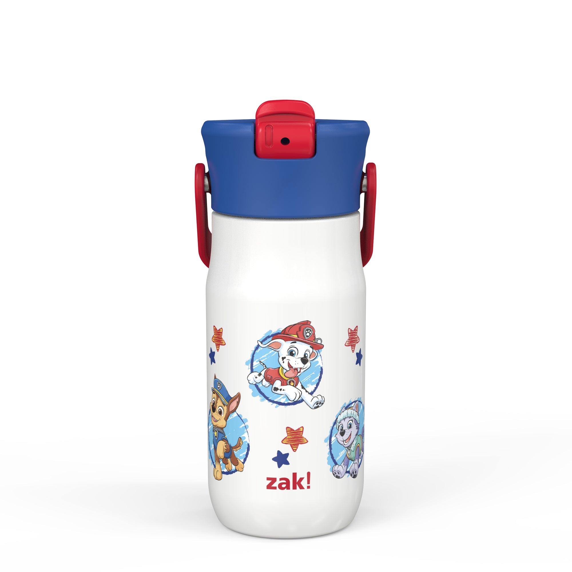 PAW Patrol Harmony Recycled Stainless Steel Kids Water Bottle with Straw Spout, 14 ounces