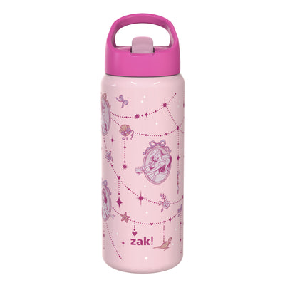 Kids Stainless Steel Disney Princess Bottle with Leak-Proof Spout