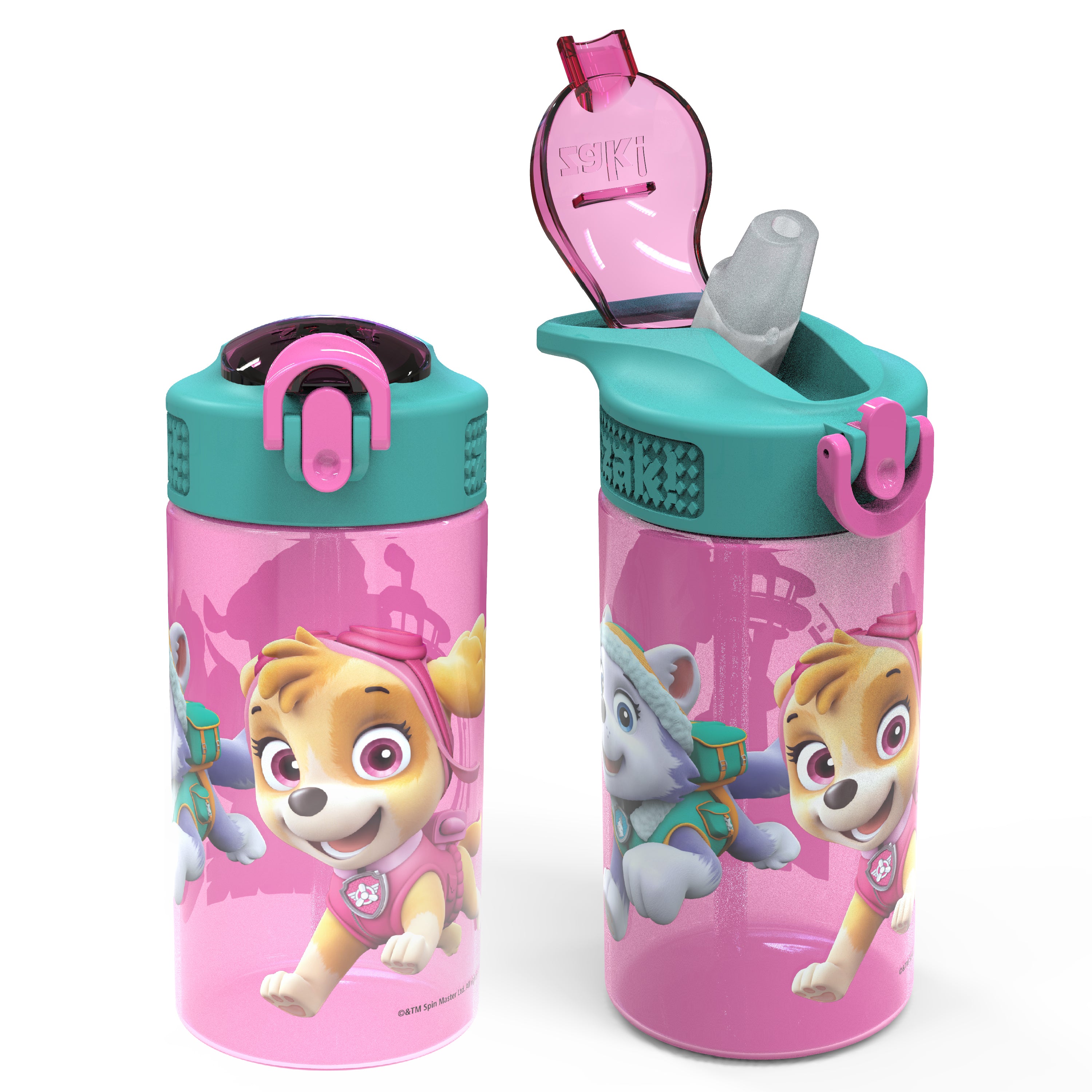 Paw Patrol Skye Kids Plastic Water Bottle with Leak Proof Lid and Spout - 2 Pack, 16 ounce