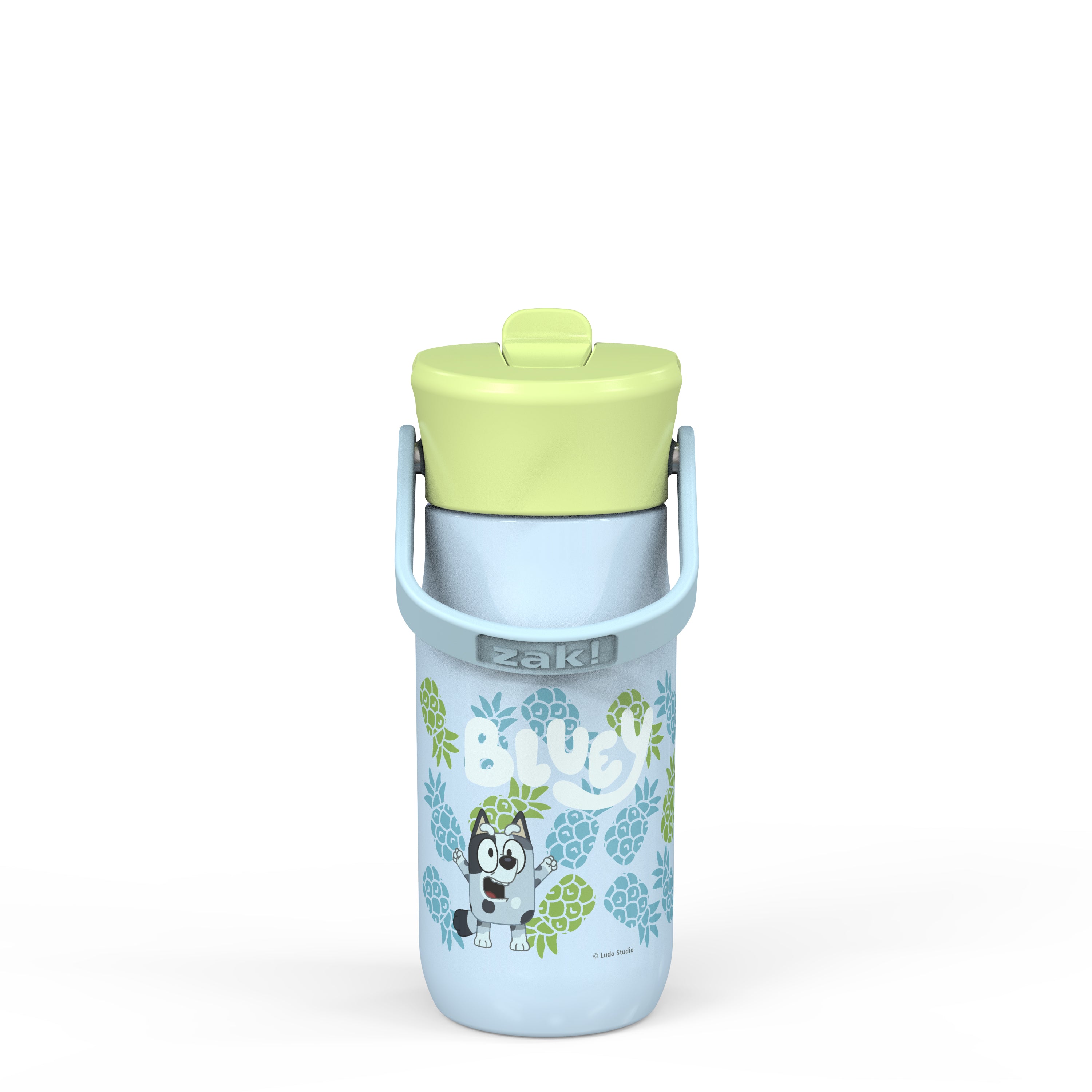 Bluey Harmony Recycled Stainless Steel Kids Water Bottle with Straw Spout, 14 ounces