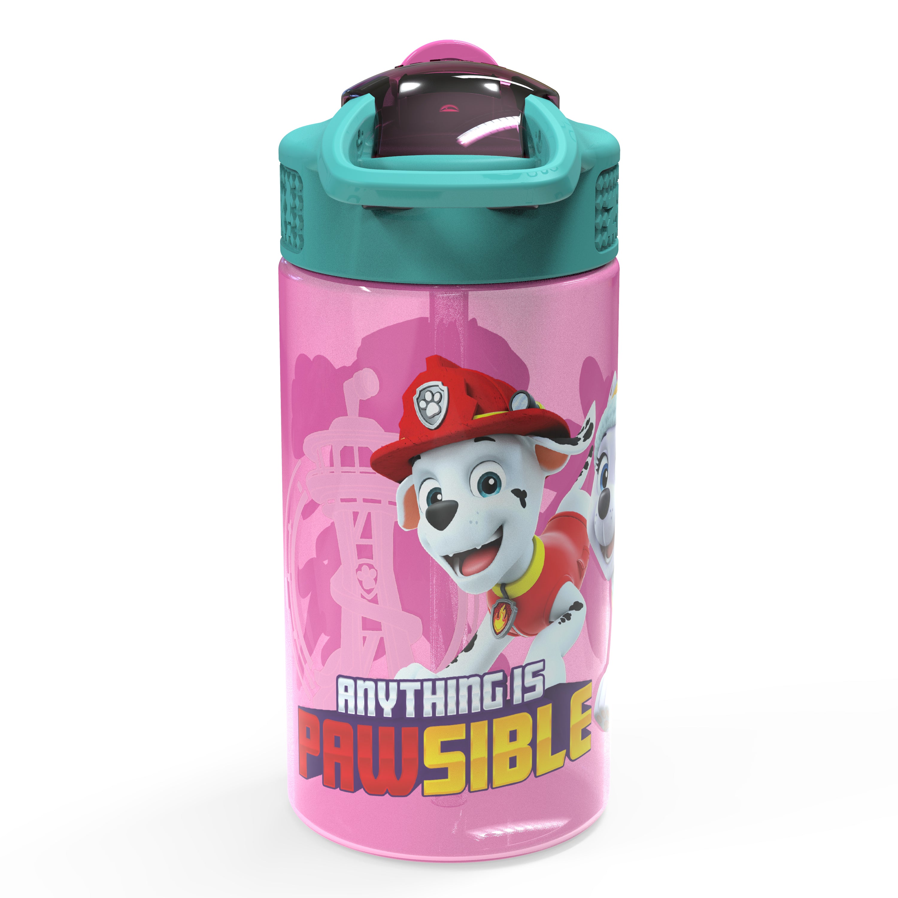 Paw Patrol Skye Kids Plastic Water Bottle with Leak Proof Lid and Spout - 2 Pack, 16 ounce