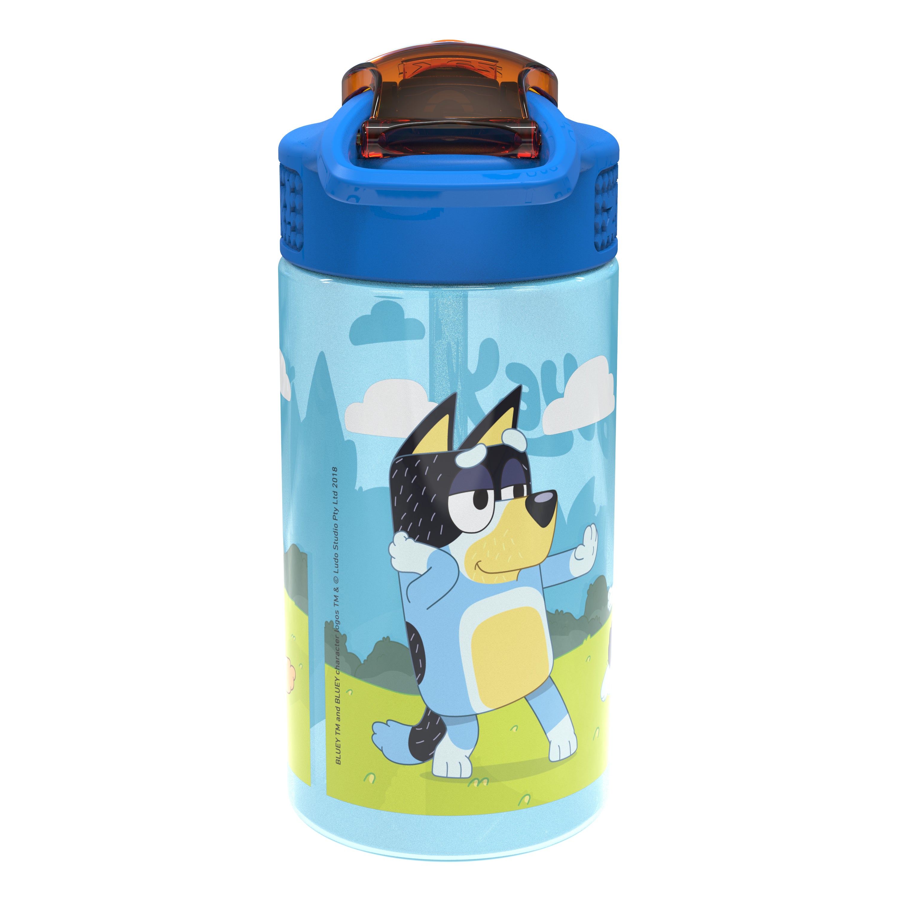 Bluey Kids Plastic Water Bottle with Leak Proof Lid and Spout - 2 Pack, 16 ounce