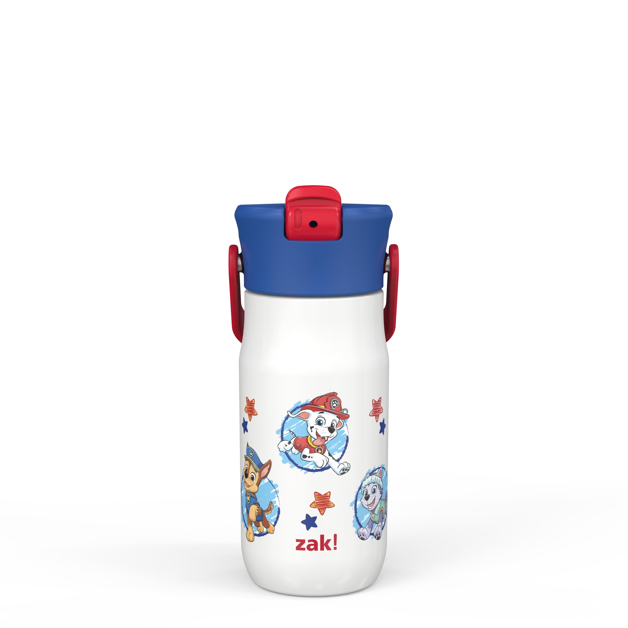 PAW Patrol Harmony Recycled Stainless Steel Kids Water Bottle with Straw Spout, 14 ounces