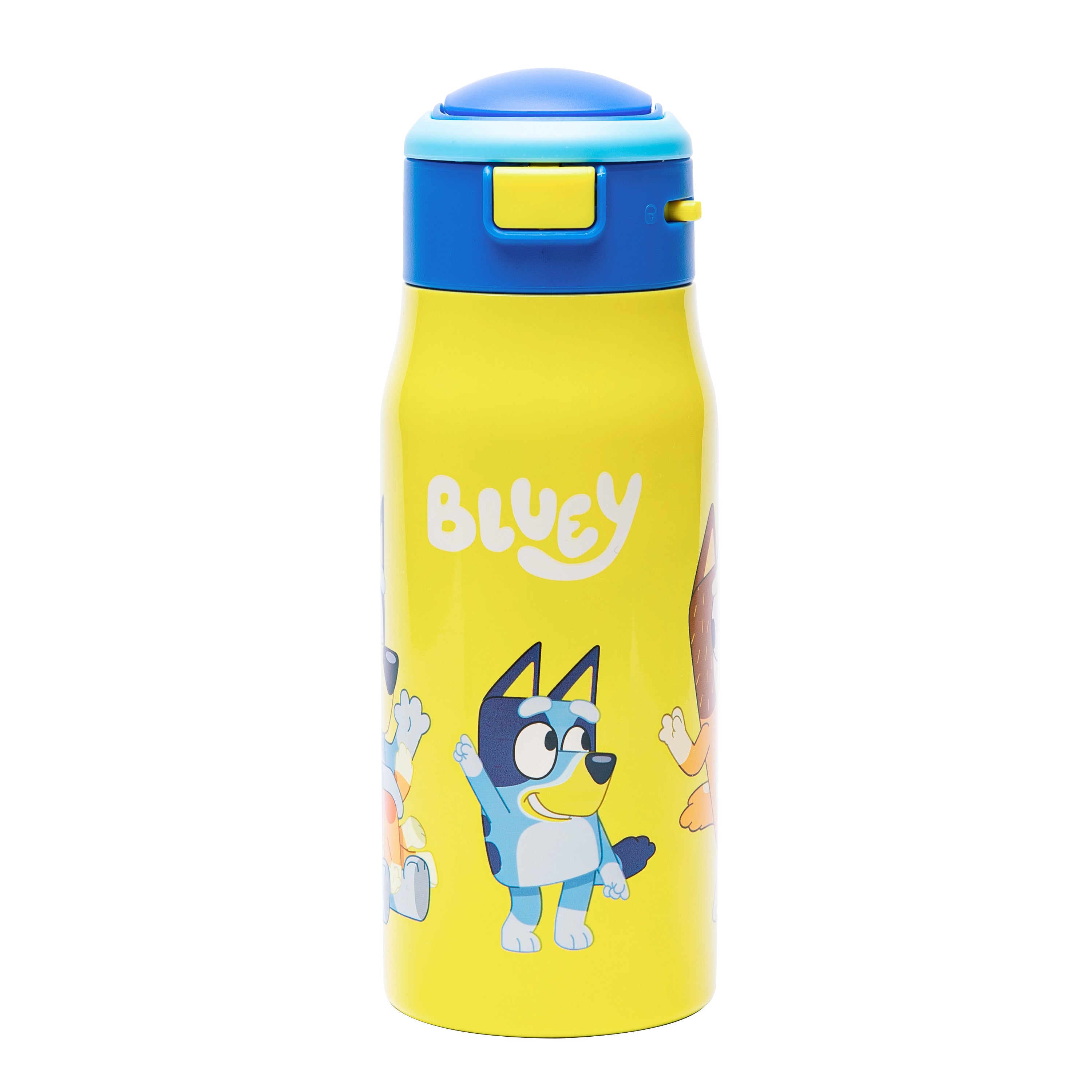 Bluey Mesa Kids Stainless Steel Insulated Water Bottle with Silicone Spout