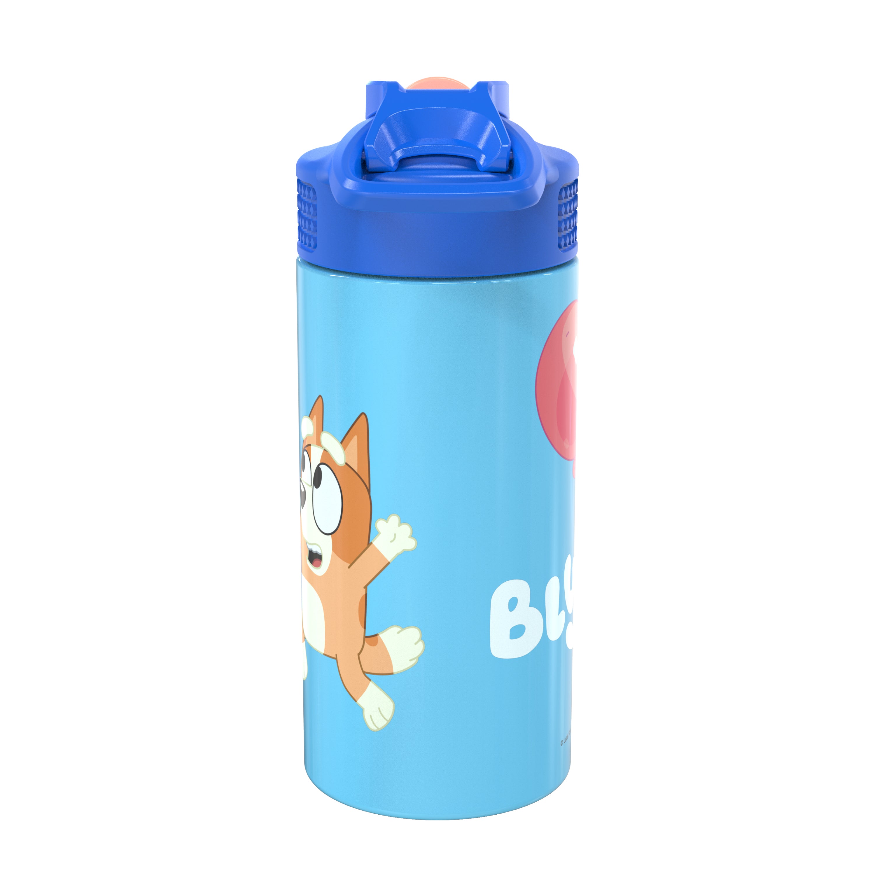 Bluey Kids Stainless Steel Leak Proof Water Bottle with Push Button Lid and Spout