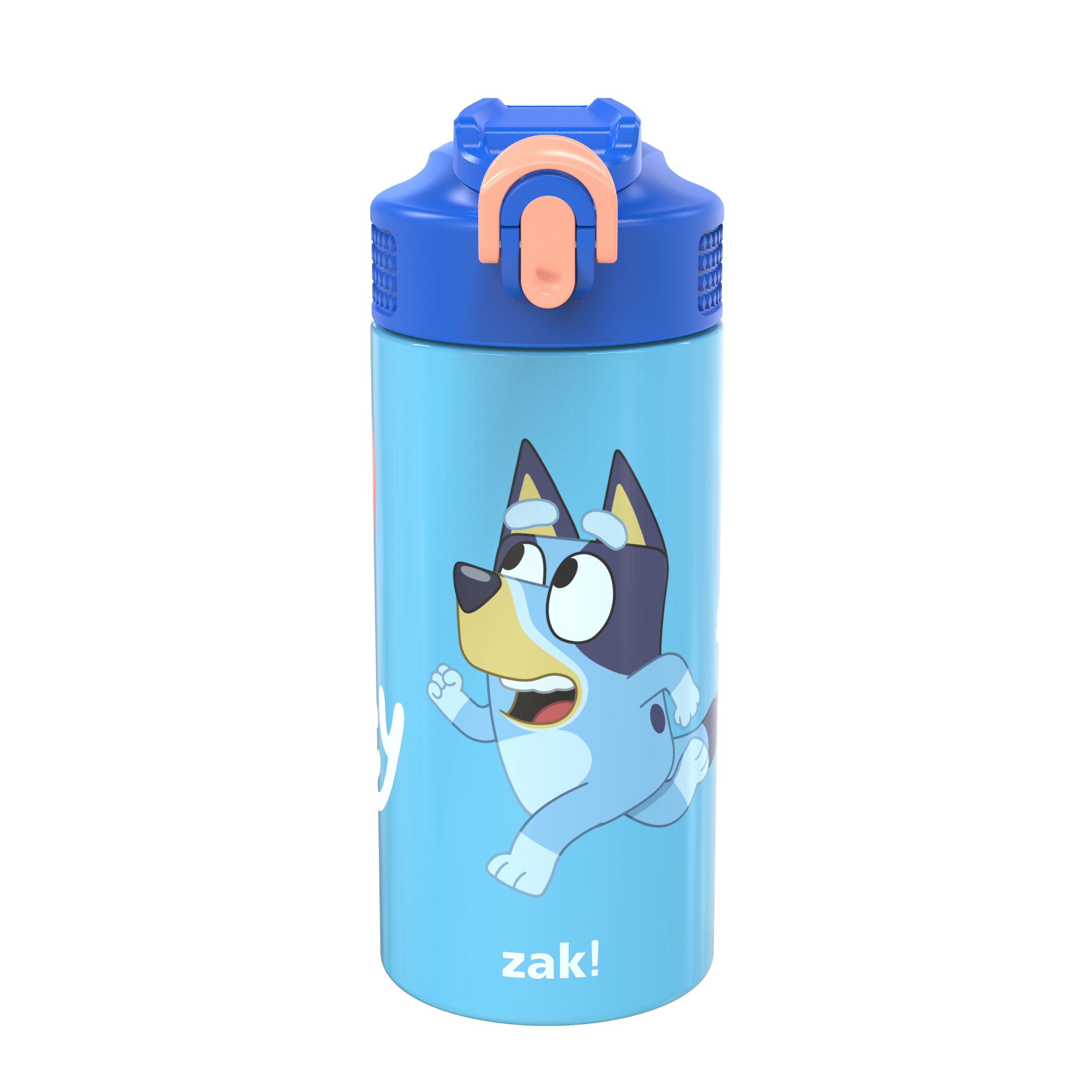 Bluey Kids Leak Proof Water Bottle with Push Button Lid and Spout