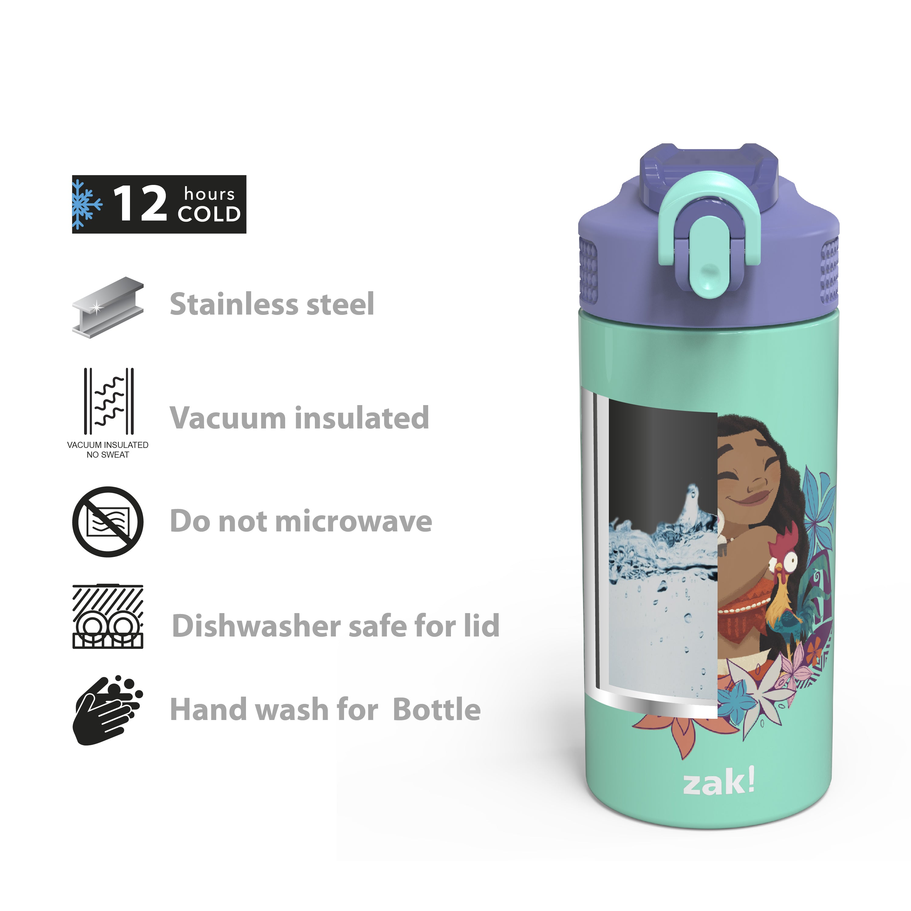Disney Moana Kids Stainless Steel Leak Proof Water Bottle with Push Button Lid and Spout